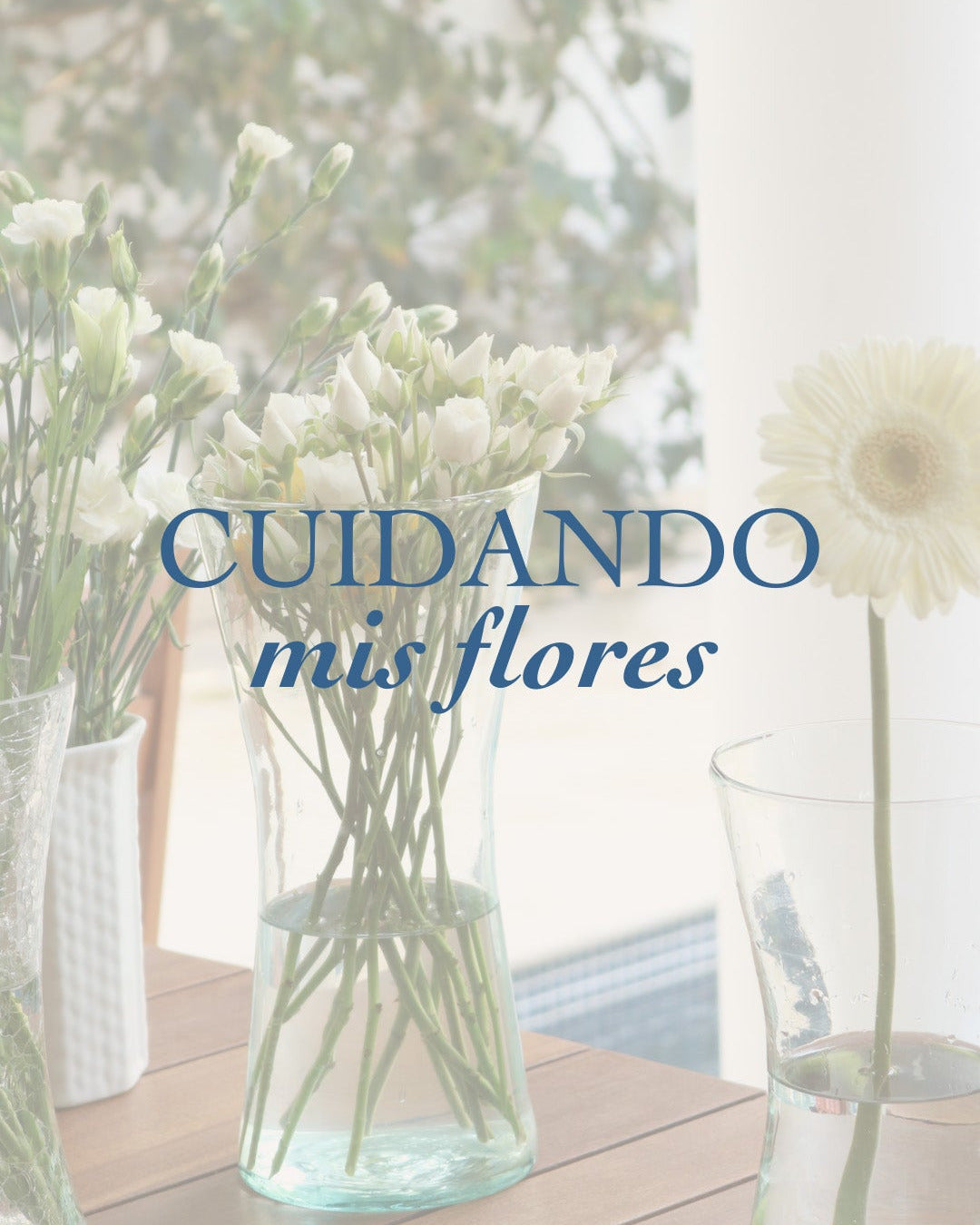Errores comunes que hacen que tus flores duren menos tiempo