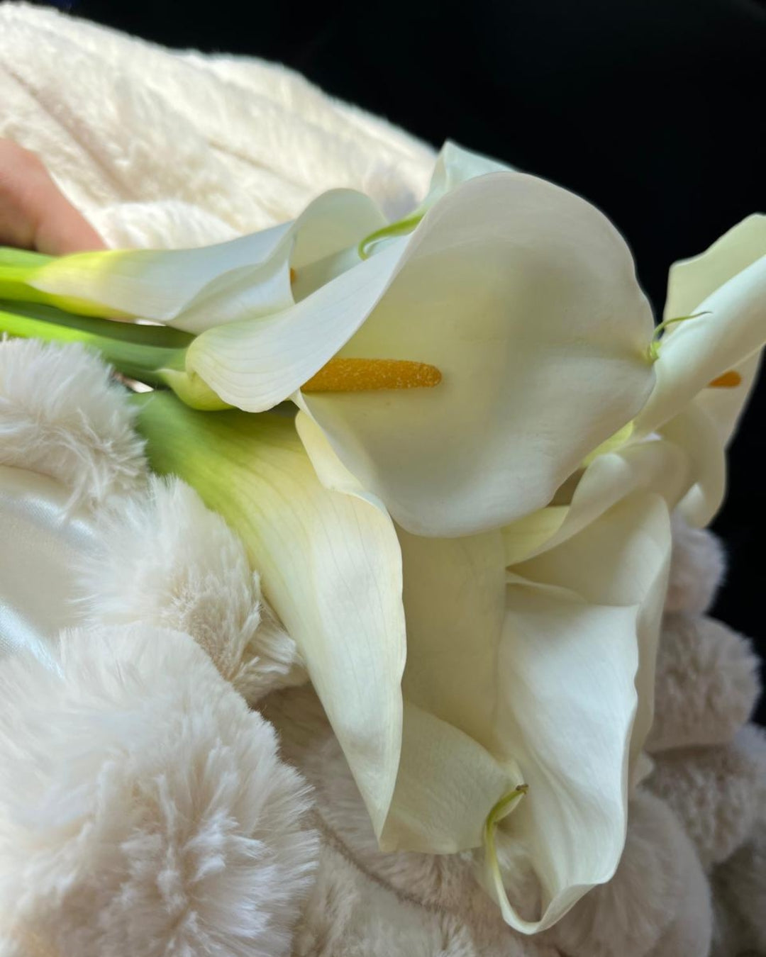 Bouquet Cartuchos