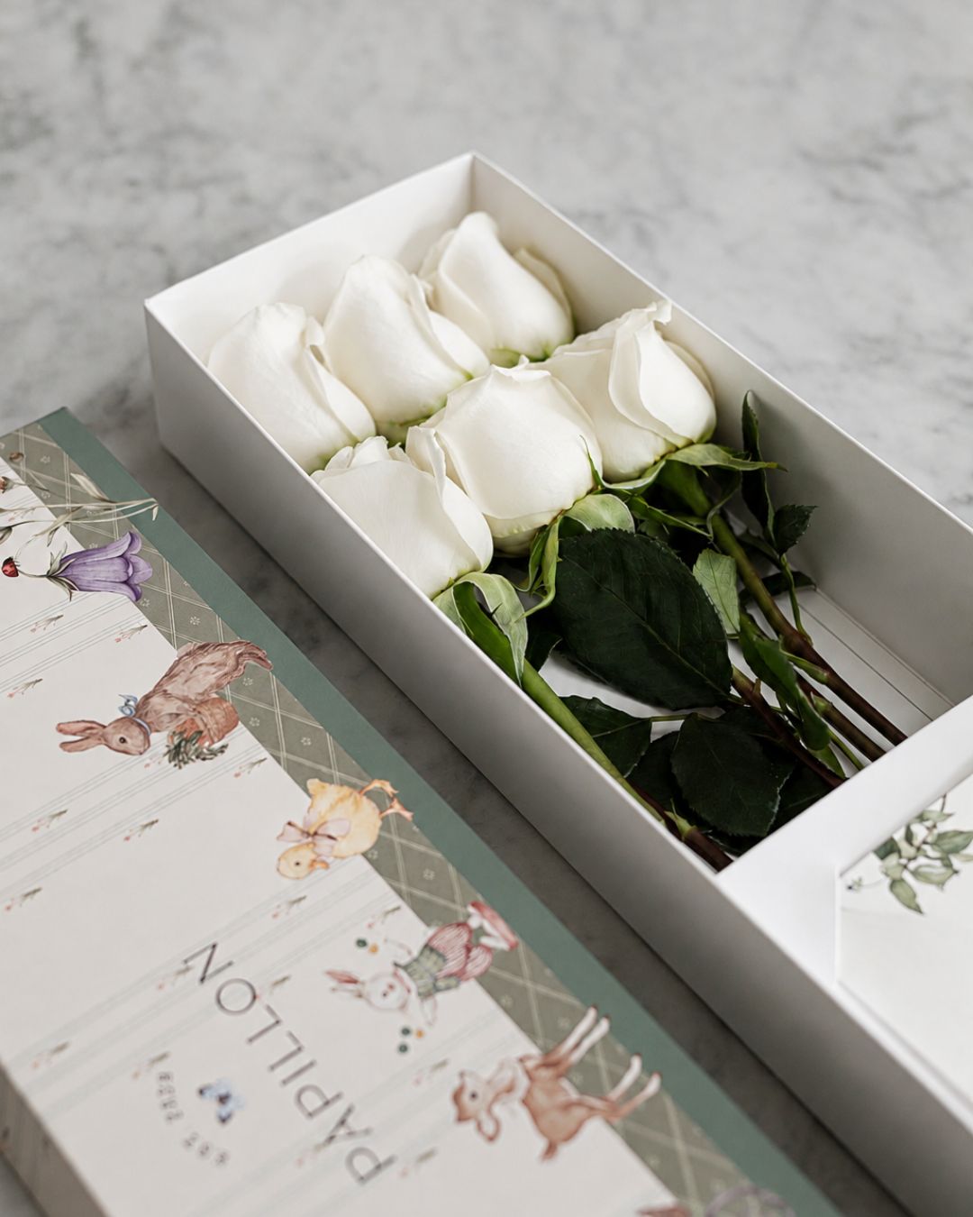 Caja de 6 Rosas Blancas Baby Print