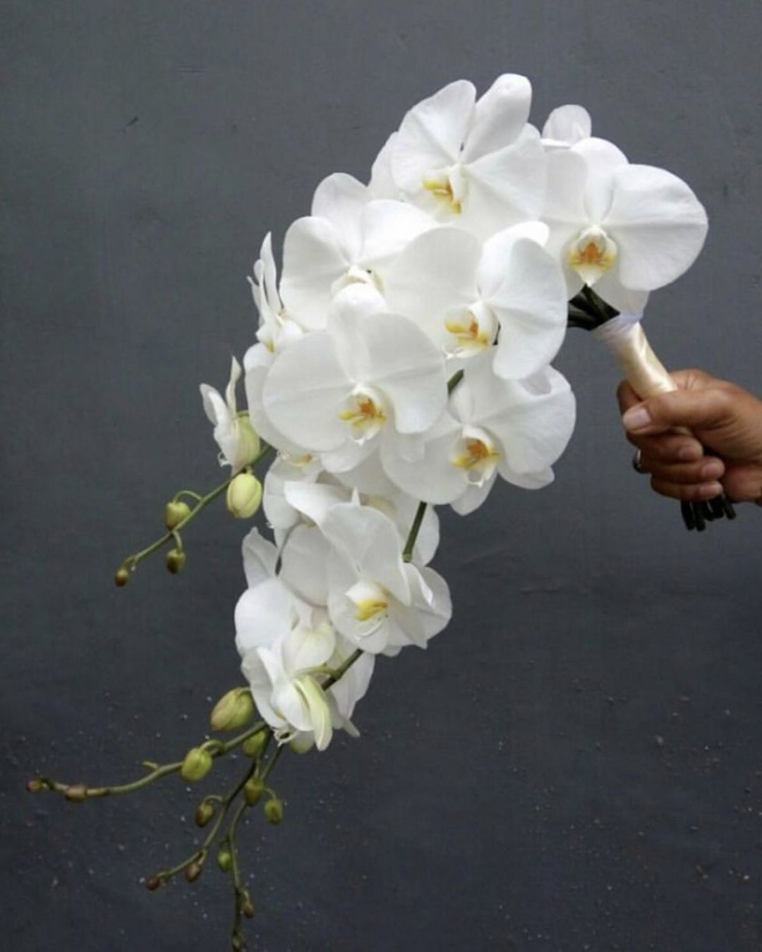 Bouquet Orquídeas