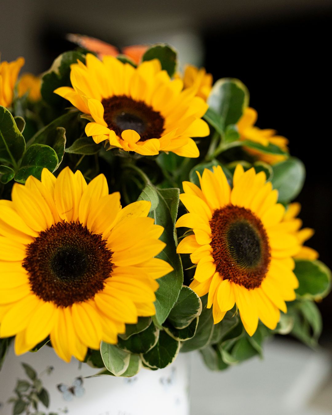 Hat Box Girasoles