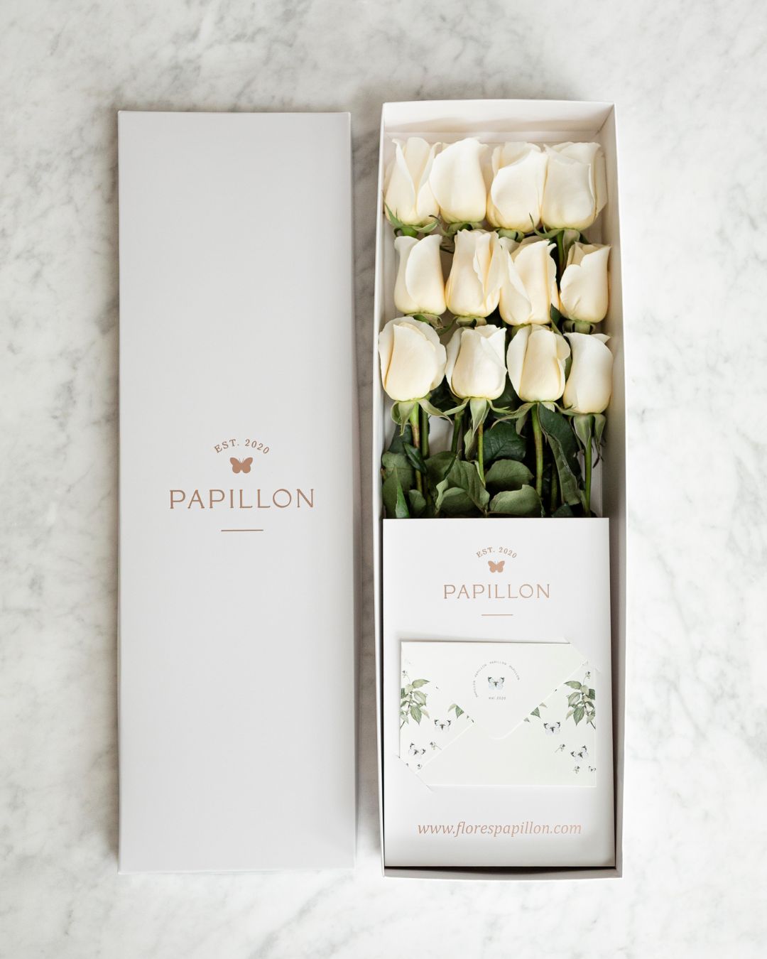 Caja de 12 Rosas Blancas