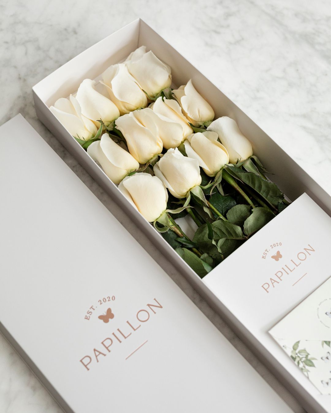 Caja de 12 Rosas Blancas