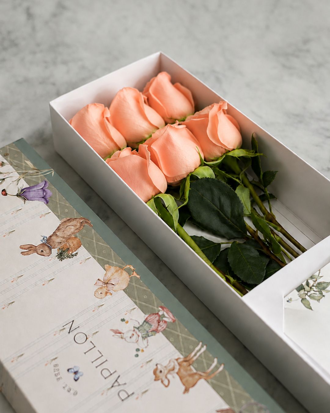 Caja de 6 Rosas Melón Baby Print