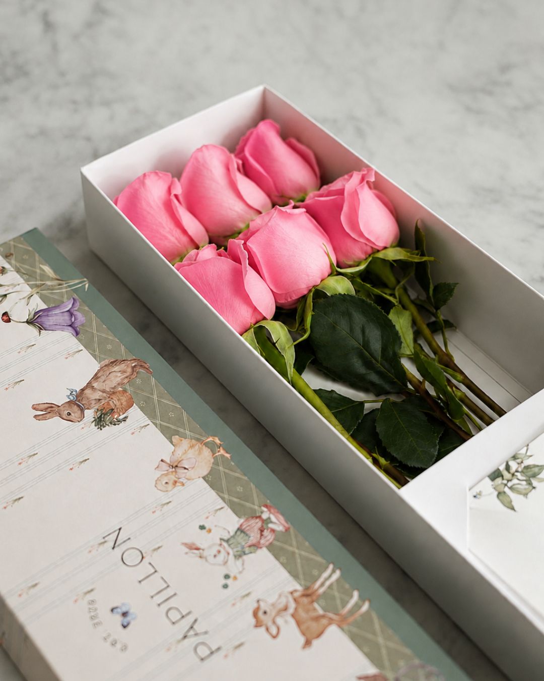 Caja de 6 Rosas Rosadas  Baby Print